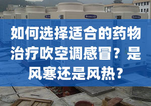 如何選擇適合的藥物治療吹空調(diào)感冒？是風(fēng)寒還是風(fēng)熱？