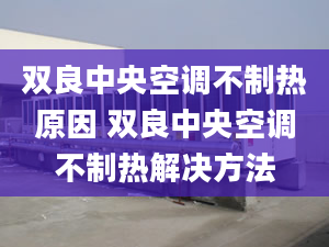 雙良中央空調(diào)不制熱原因 雙良中央空調(diào)不制熱解決方法