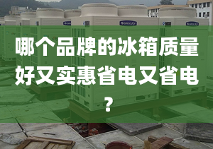 哪個品牌的冰箱質(zhì)量好又實(shí)惠省電又省電？