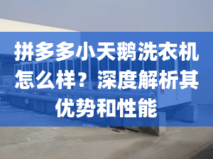 拼多多小天鵝洗衣機怎么樣？深度解析其優(yōu)勢和性能