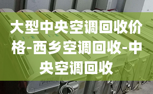 大型中央空調(diào)回收價(jià)格-西鄉(xiāng)空調(diào)回收-中央空調(diào)回收