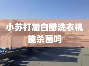 小蘇打加白醋洗衣機能殺菌嗎