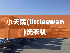 小天鵝(littleswan)洗衣機