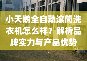 小天鵝全自動滾筒洗衣機怎么樣？解析品牌實力與產(chǎn)品優(yōu)勢