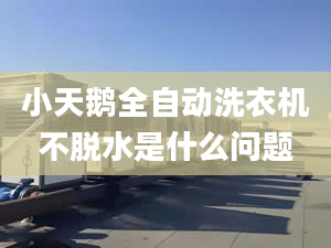 小天鵝全自動洗衣機不脫水是什么問題