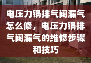 電壓力鍋排氣閥漏氣怎么修，電壓力鍋排氣閥漏氣的維修步驟和技巧