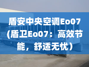 盾安中央空調(diào)Eo07(盾衛(wèi)Eo07：高效節(jié)能，舒適無憂）