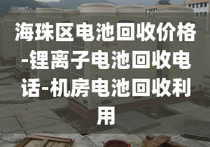 海珠區(qū)電池回收價(jià)格-鋰離子電池回收電話-機(jī)房電池回收利用