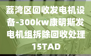 荔灣區(qū)回收發(fā)電機(jī)設(shè)備-300kw康明斯發(fā)電機(jī)組拆除回收處理15TAD