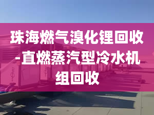 珠海燃?xì)怃寤嚮厥?直燃蒸汽型冷水機(jī)組回收