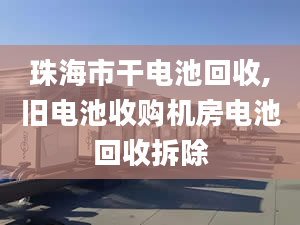 珠海市干電池回收,舊電池收購機(jī)房電池回收拆除