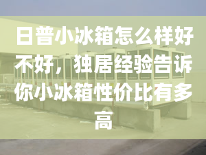 日普小冰箱怎么樣好不好，獨居經(jīng)驗告訴你小冰箱性價比有多高