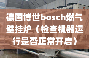 德國(guó)博世bosch燃?xì)獗趻鞝t（檢查機(jī)器運(yùn)行是否正常開啟）