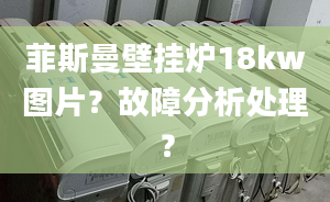 菲斯曼壁掛爐18kw圖片？故障分析處理？