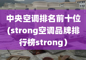 中央空調(diào)排名前十位(strong空調(diào)品牌排行榜strong）