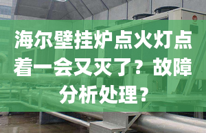 海爾壁掛爐點火燈點著一會又滅了？故障分析處理？