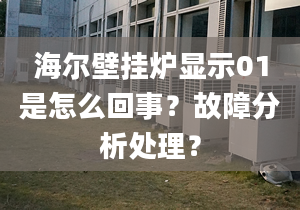 海爾壁掛爐顯示01是怎么回事？故障分析處理？