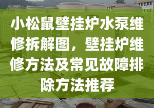 小松鼠壁掛爐水泵維修拆解圖，壁掛爐維修方法及常見故障排除方法推薦