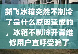 新飛冰箱突然不制冷了是什么原因造成的，冰箱不制冷開背維修用戶直呼受騙了