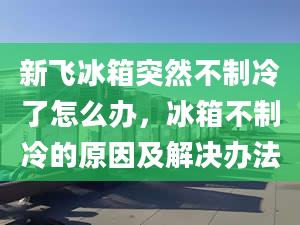 新飛冰箱突然不制冷了怎么辦，冰箱不制冷的原因及解決辦法