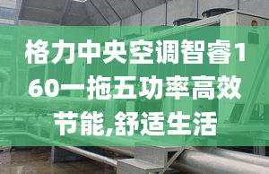 格力中央空調(diào)智睿160一拖五功率高效節(jié)能,舒適生活