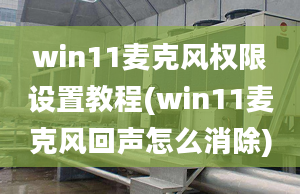 win11麥克風權(quán)限設(shè)置教程(win11麥克風回聲怎么消除)