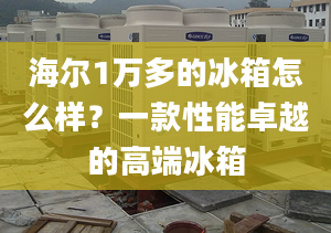 海爾1萬多的冰箱怎么樣？一款性能卓越的高端冰箱