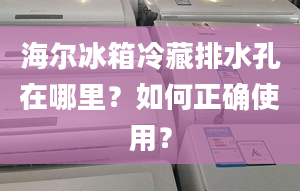 海爾冰箱冷藏排水孔在哪里？如何正確使用？