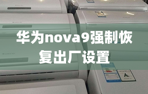 華為nova9強(qiáng)制恢復(fù)出廠設(shè)置