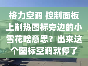 格力空調(diào) 控制面板上制熱圖標旁邊的小雪花啥意思？出來這個圖標空調(diào)就停了