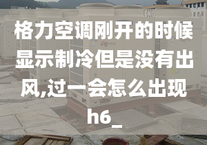 格力空調(diào)剛開的時候顯示制冷但是沒有出風(fēng),過一會怎么出現(xiàn)h6_