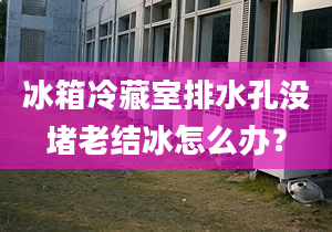 冰箱冷藏室排水孔沒堵老結冰怎么辦？