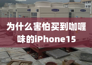 為什么害怕買到咖喱味的iPhone15