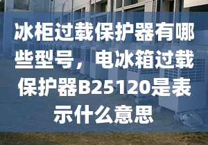 冰柜過(guò)載保護(hù)器有哪些型號(hào)，電冰箱過(guò)載保護(hù)器B25120是表示什么意思