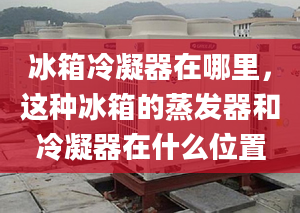 冰箱冷凝器在哪里，這種冰箱的蒸發(fā)器和冷凝器在什么位置