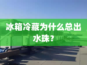 冰箱冷藏為什么總出水珠？