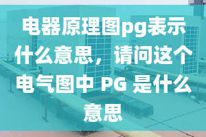 電器原理圖pg表示什么意思，請問這個電氣圖中 PG 是什么意思