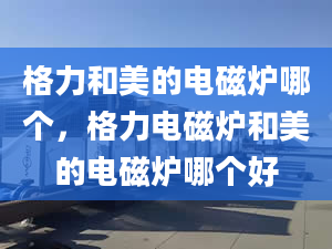 格力和美的電磁爐哪個(gè)，格力電磁爐和美的電磁爐哪個(gè)好