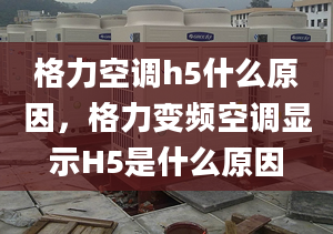 格力空調(diào)h5什么原因，格力變頻空調(diào)顯示H5是什么原因