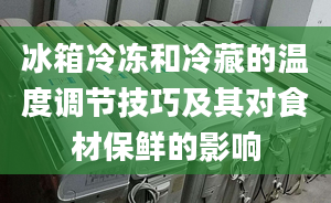 冰箱冷凍和冷藏的溫度調節(jié)技巧及其對食材保鮮的影響