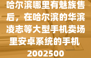 哈爾濱哪里有魅族售后，在哈爾濱的華濱凌志等大型手機賣場里安卓系統(tǒng)的手機 2002500