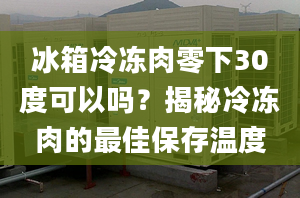 冰箱冷凍肉零下30度可以嗎？揭秘冷凍肉的最佳保存溫度