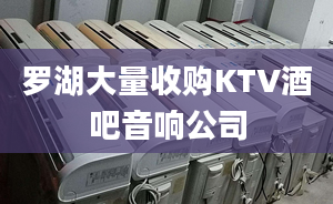 羅湖大量收購(gòu)KTV酒吧音響公司