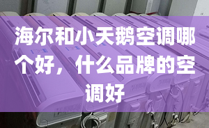 海爾和小天鵝空調(diào)哪個好，什么品牌的空調(diào)好