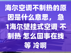 海爾空調(diào)不制熱的原因是什么意思， 急1海爾壁掛式空調(diào) 不制熱 怎么回事在線等 冷啊