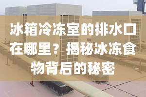 冰箱冷凍室的排水口在哪里？揭秘冰凍食物背后的秘密