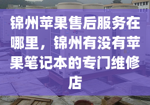 錦州蘋(píng)果售后服務(wù)在哪里，錦州有沒(méi)有蘋(píng)果筆記本的專(zhuān)門(mén)維修店