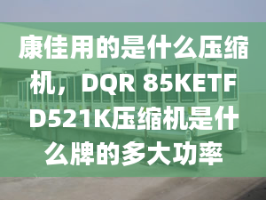 康佳用的是什么壓縮機，DQR 85KETFD521K壓縮機是什么牌的多大功率