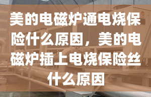 美的電磁爐通電燒保險什么原因，美的電磁爐插上電燒保險絲什么原因