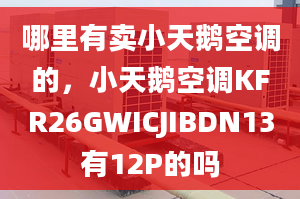 哪里有賣(mài)小天鵝空調(diào)的，小天鵝空調(diào)KFR26GWICJIBDN13有12P的嗎